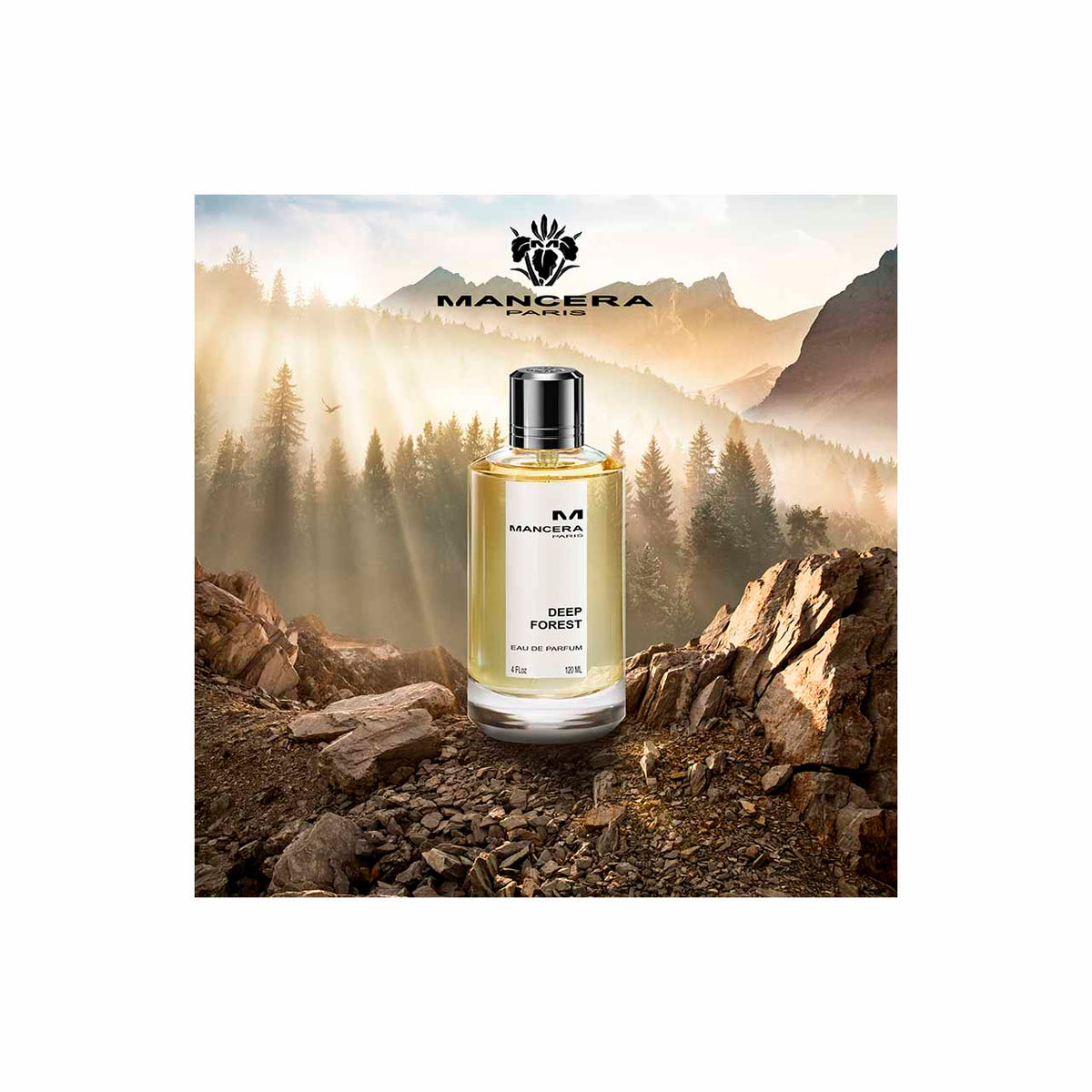 MANCERA DEEP FOREST | EDP | 120 ml
