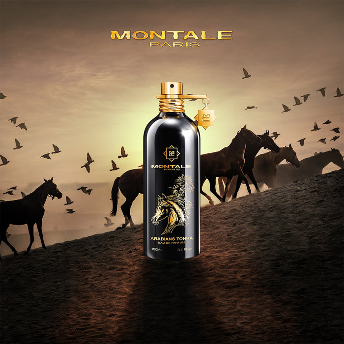 ARABIANS TONKA | EDP | 100 ml